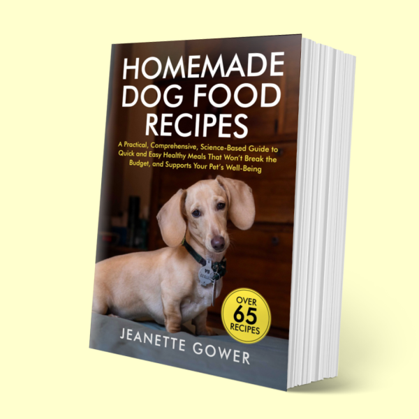 Homemade Dog Food Recipes